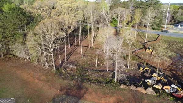 a view of park with trees