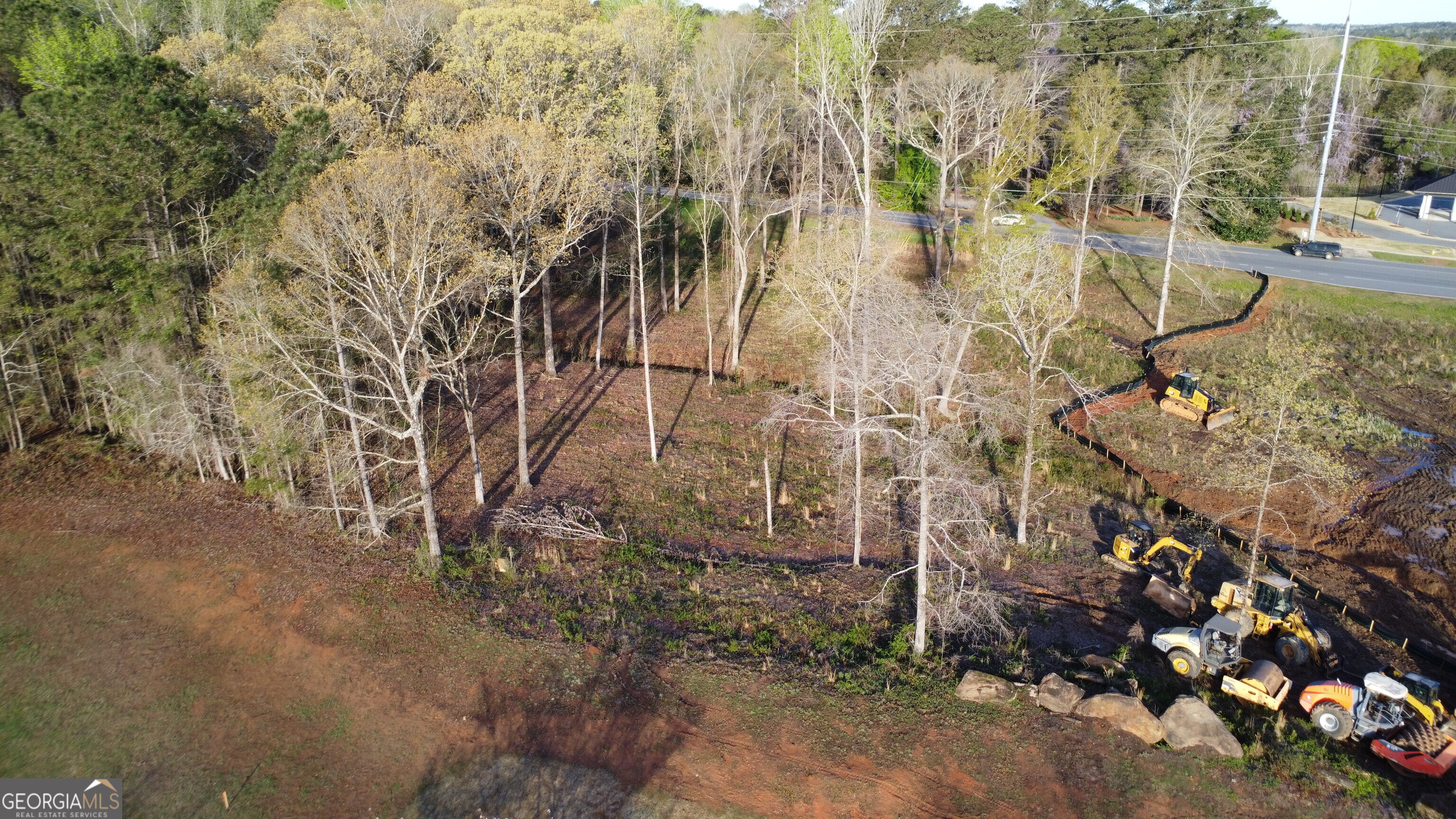 1415 Bass Road Macon, GA 31210 - Photo 6 of 9 a backyard of a house with lots of green space