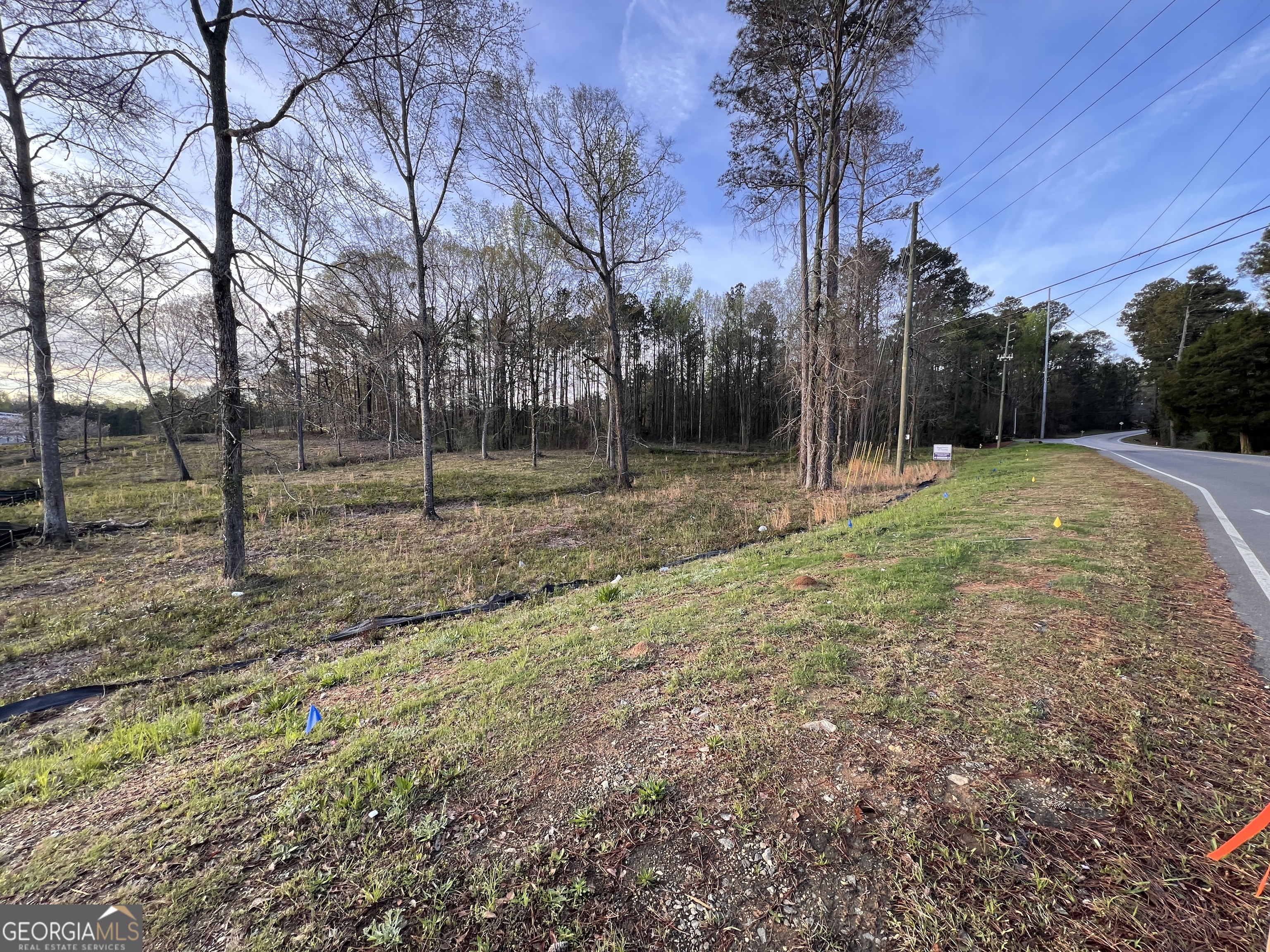 1415 Bass Road Macon, GA 31210 - Photo 9 of 9 a backyard of a house with lots of green space
