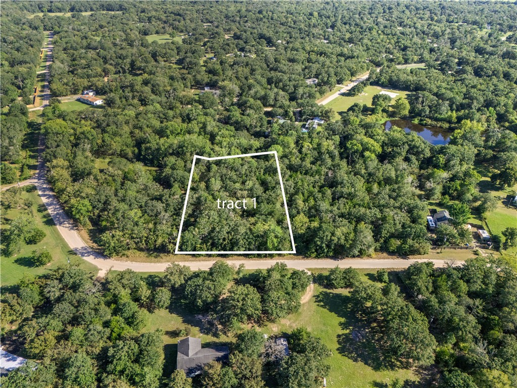 Aerial overview of property's location with property boundaries highlighted and a forest