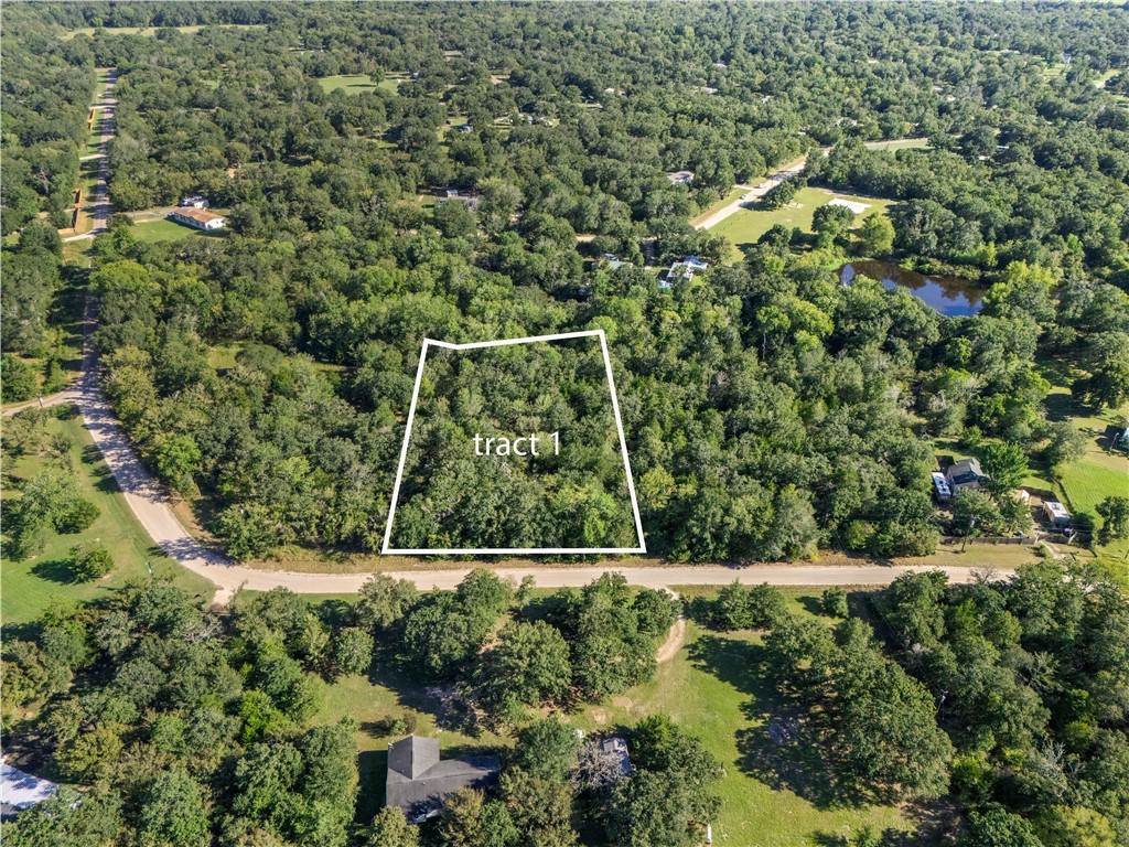 Aerial overview of property's location with property boundaries highlighted and a forest