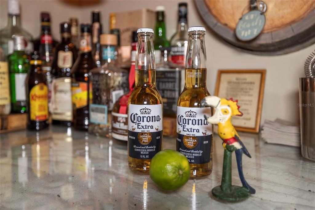 637 Scotland Street Dunedin, FL 34698 - Photo 62 of 72