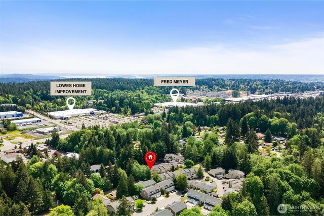 a view of a city with lots of potted plants