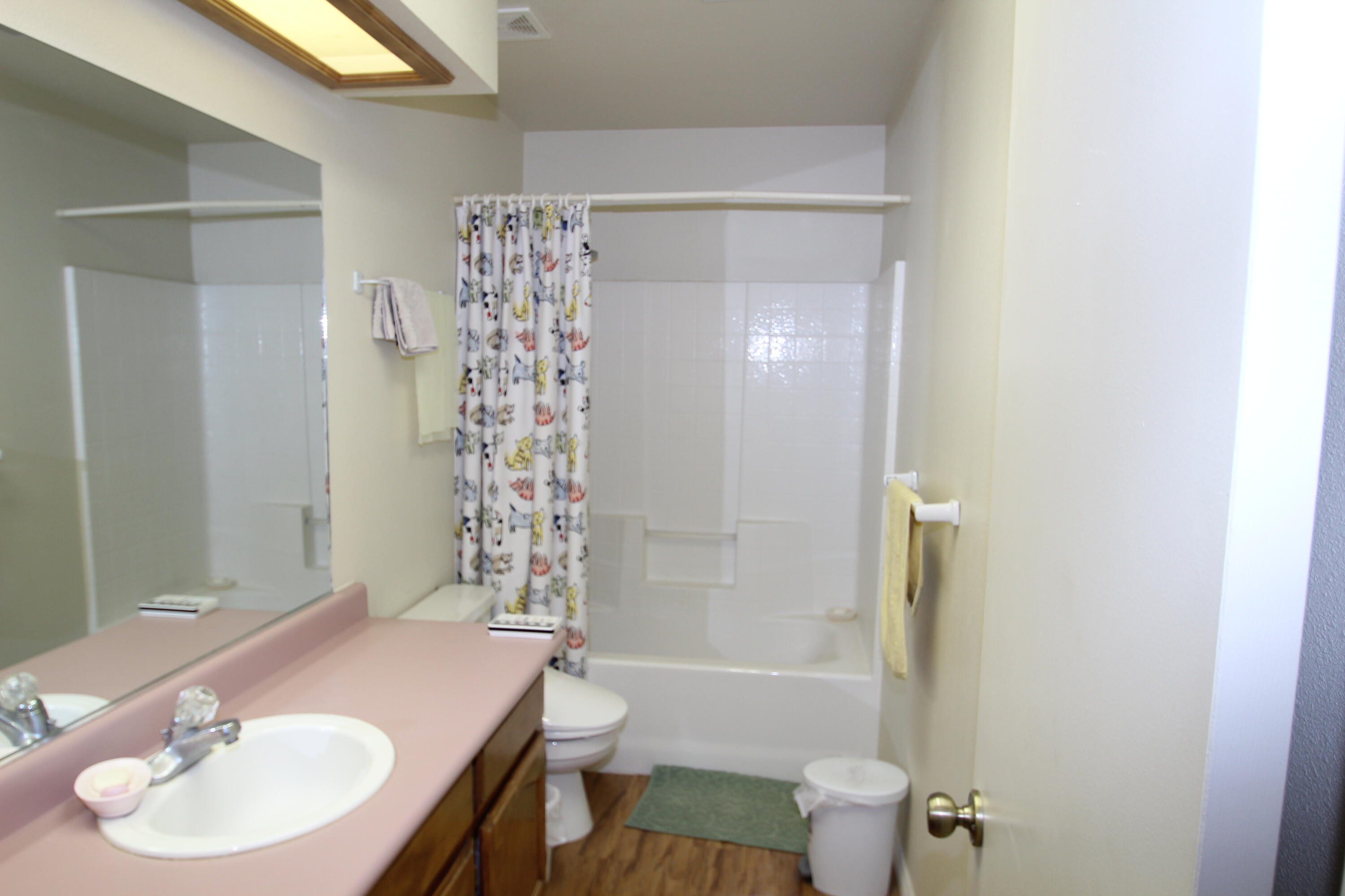 265 Pierpoint Drive Springville, CA 93265 - Photo 9 of 49 Hall bath