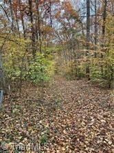 0 Aladdin Road Pfafftown, NC 27040 - Photo 6 of 17