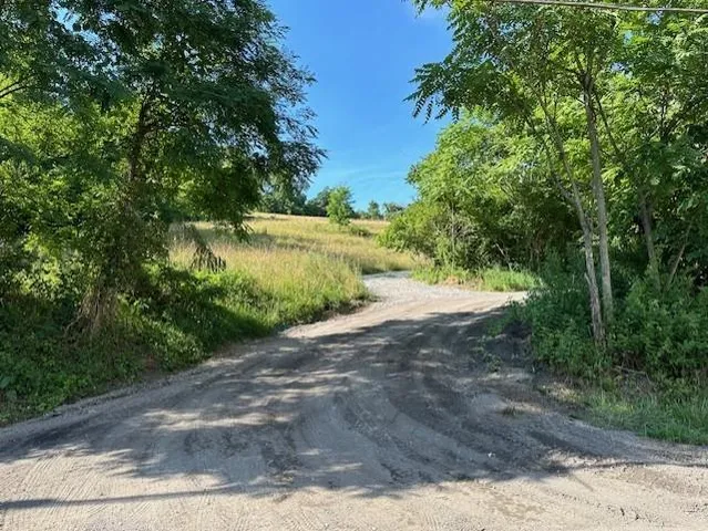a view of a road with a yard