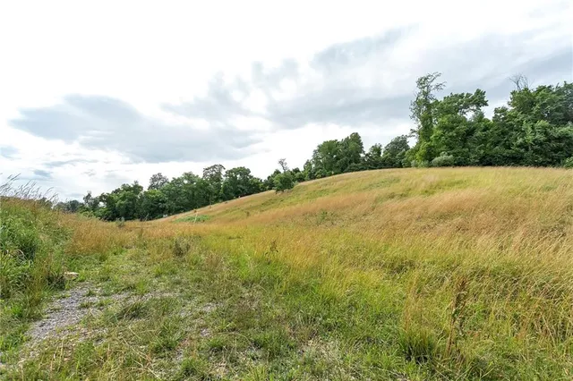 a view of a field with an ocean