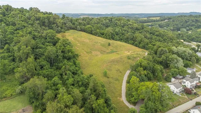 a view of a field with a mountain in the background