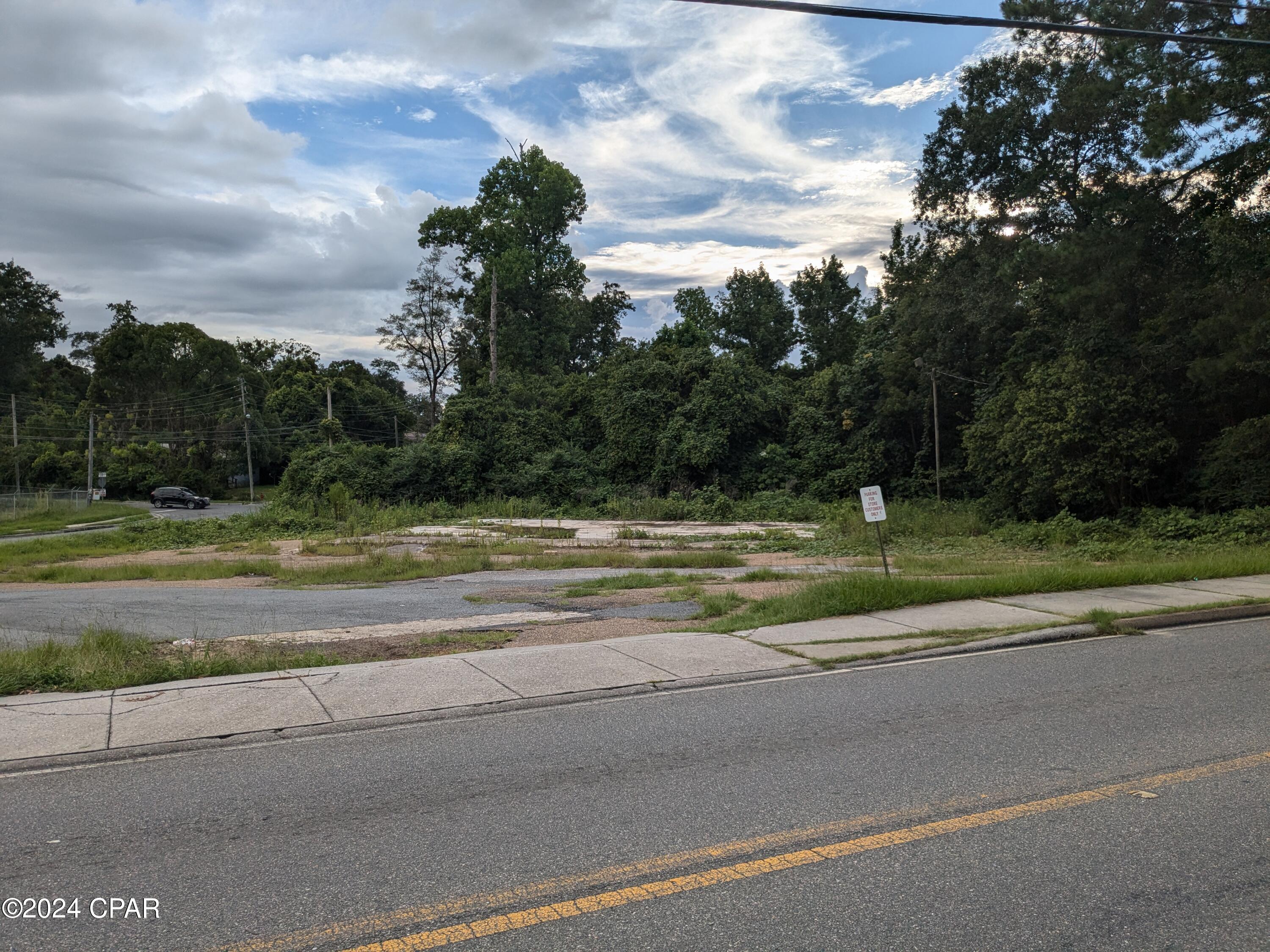 3003 Carters Mill Road Marianna, FL 32446 - Photo 3 of 8