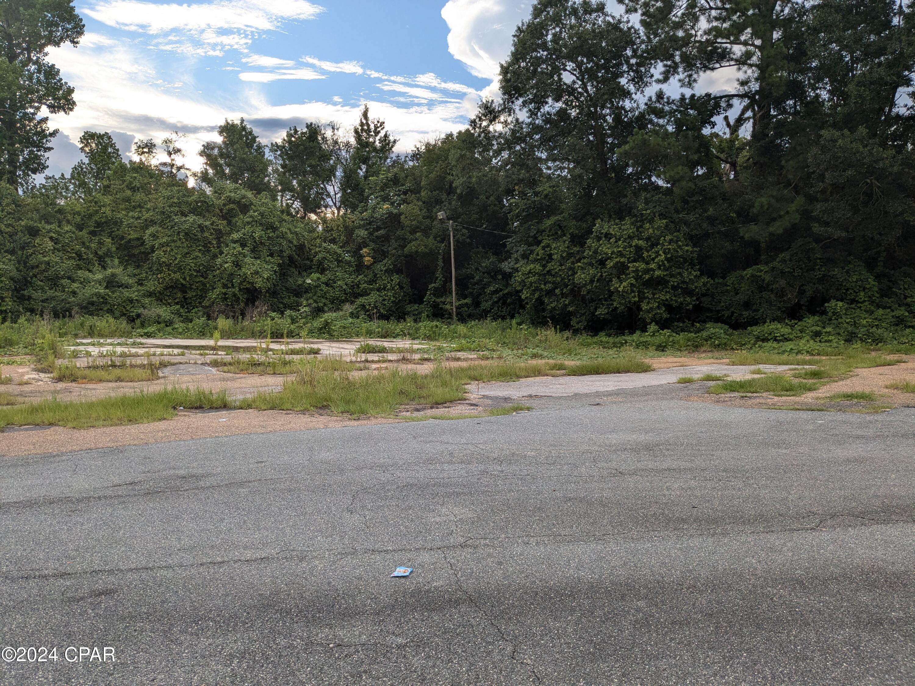 3003 Carters Mill Road Marianna, FL 32446 - Photo 7 of 8