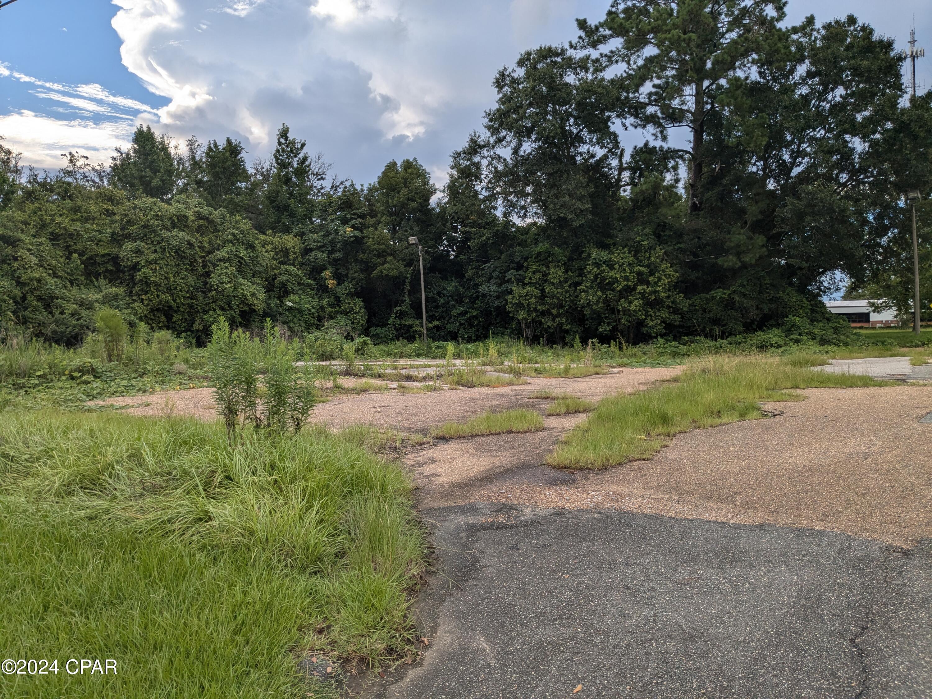 3003 Carters Mill Road Marianna, FL 32446 - Photo 8 of 8