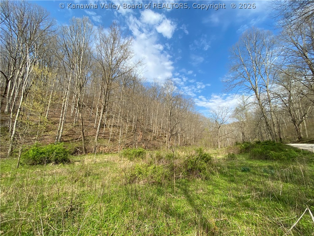 0 2nd Creek Road Kenna, WV 25248 - Photo 20 of 47 Gallery Image 20