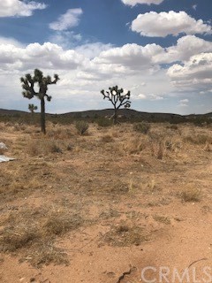 555 Rockwood Road Joshua Tree, CA 92252 - Photo 1 of 1 a view of a water pond