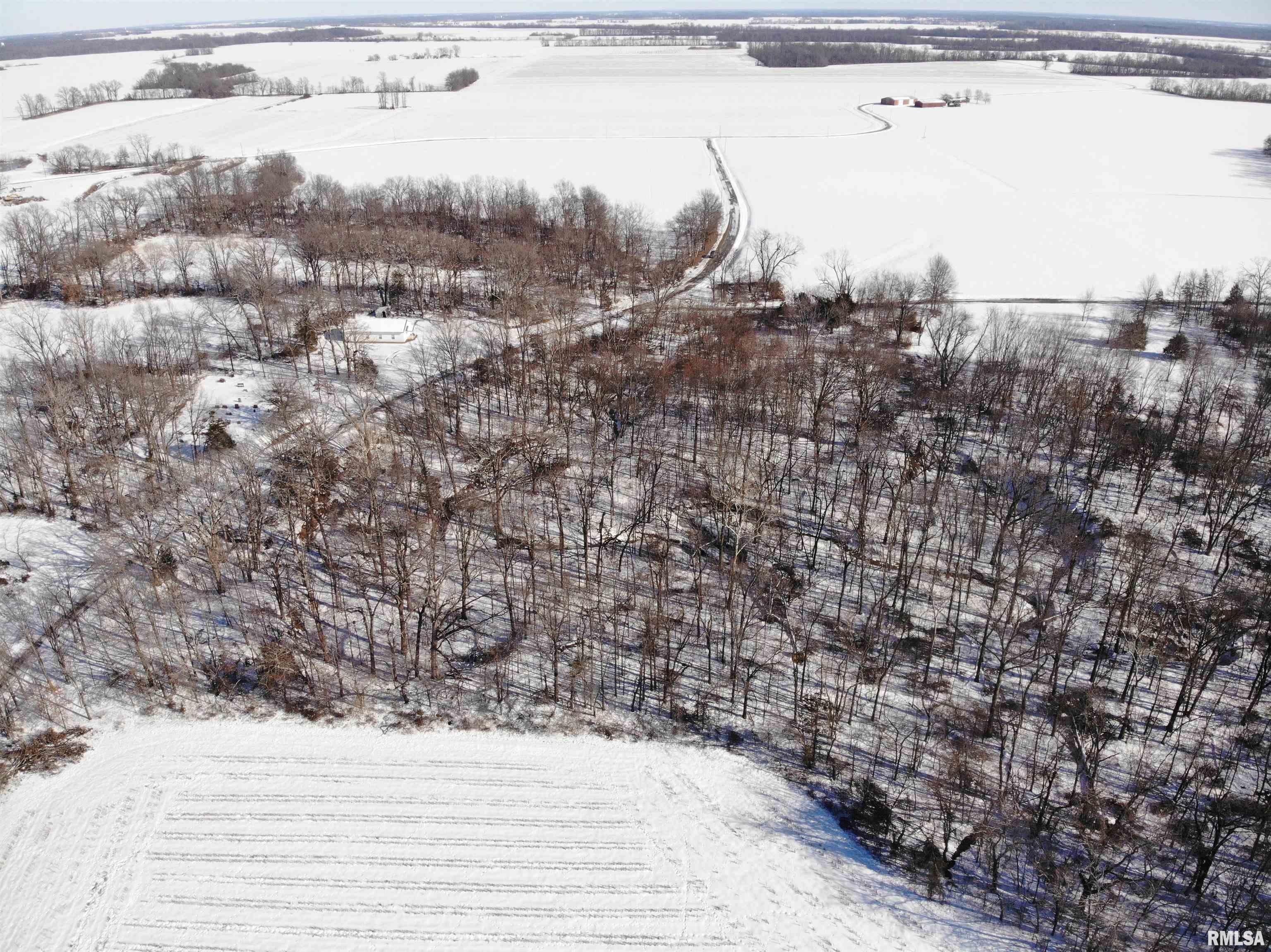 5665 Woodard School Road Salem, IL 62881 - Photo 6 of 9 Gallery Image 6