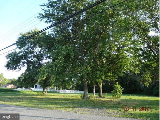 Adjacent to Singletree
