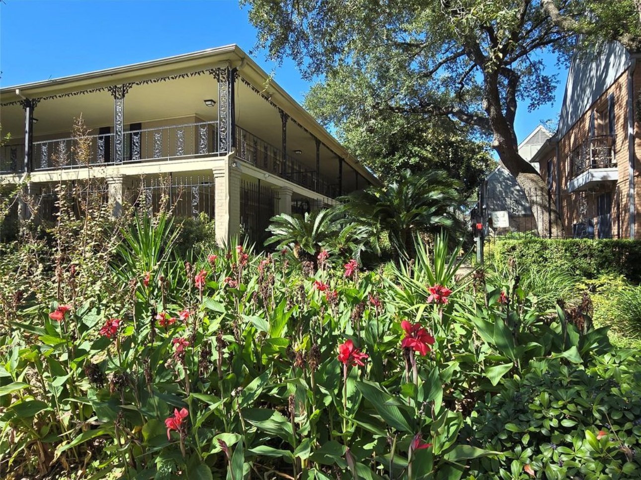 11550 Chimney Rock Road, Unit 232 Houston, TX 77035 - Photo 23 of 30 a close up of a flower in a garden