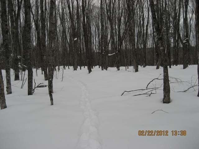 Lot 3 Desperation Road Mercer, WI 54547 - Photo 15 of 20 Gallery Image 15