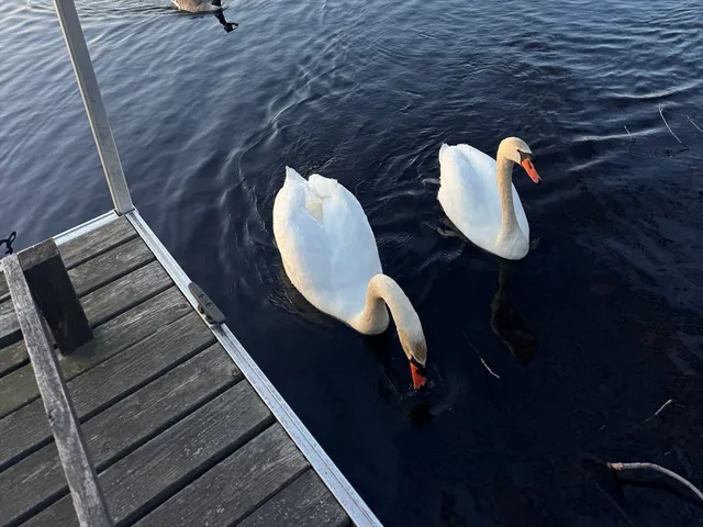 $1,450,000 | 85 Crescent Street, Waltham, MA 02453