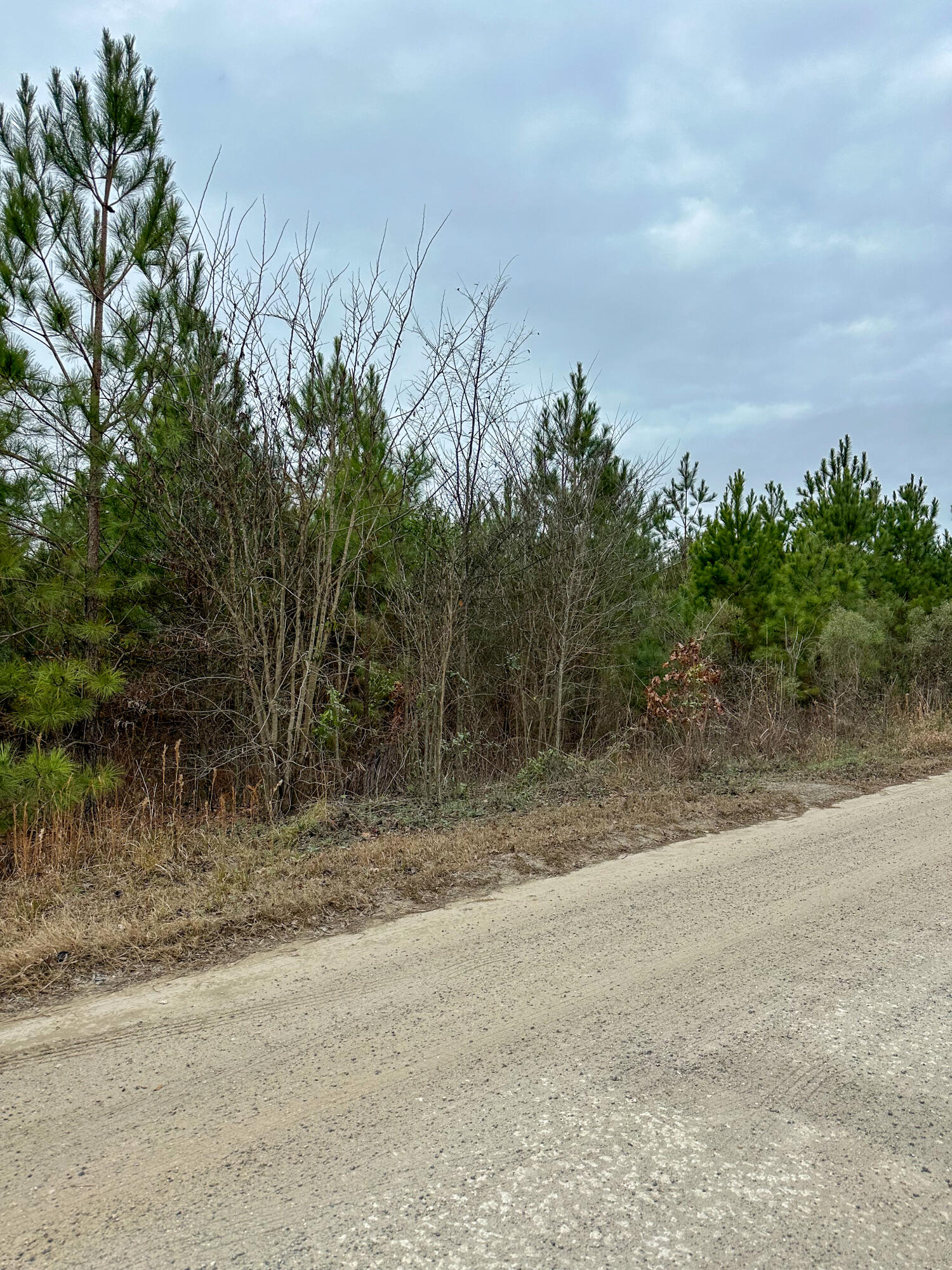 Tbd Tbd Bill Davis Road Summerton, SC 29148 - Photo 17 of 37 Gallery Image 17