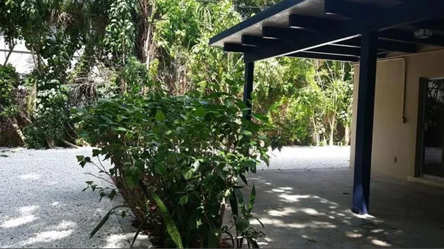 a view of backyard from window