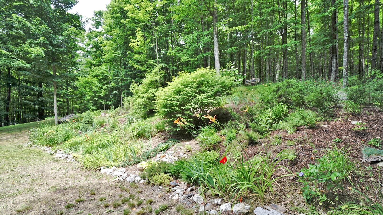 117 Mountain Road Raymond, ME 04071 - Photo 17 of 87 Back yard