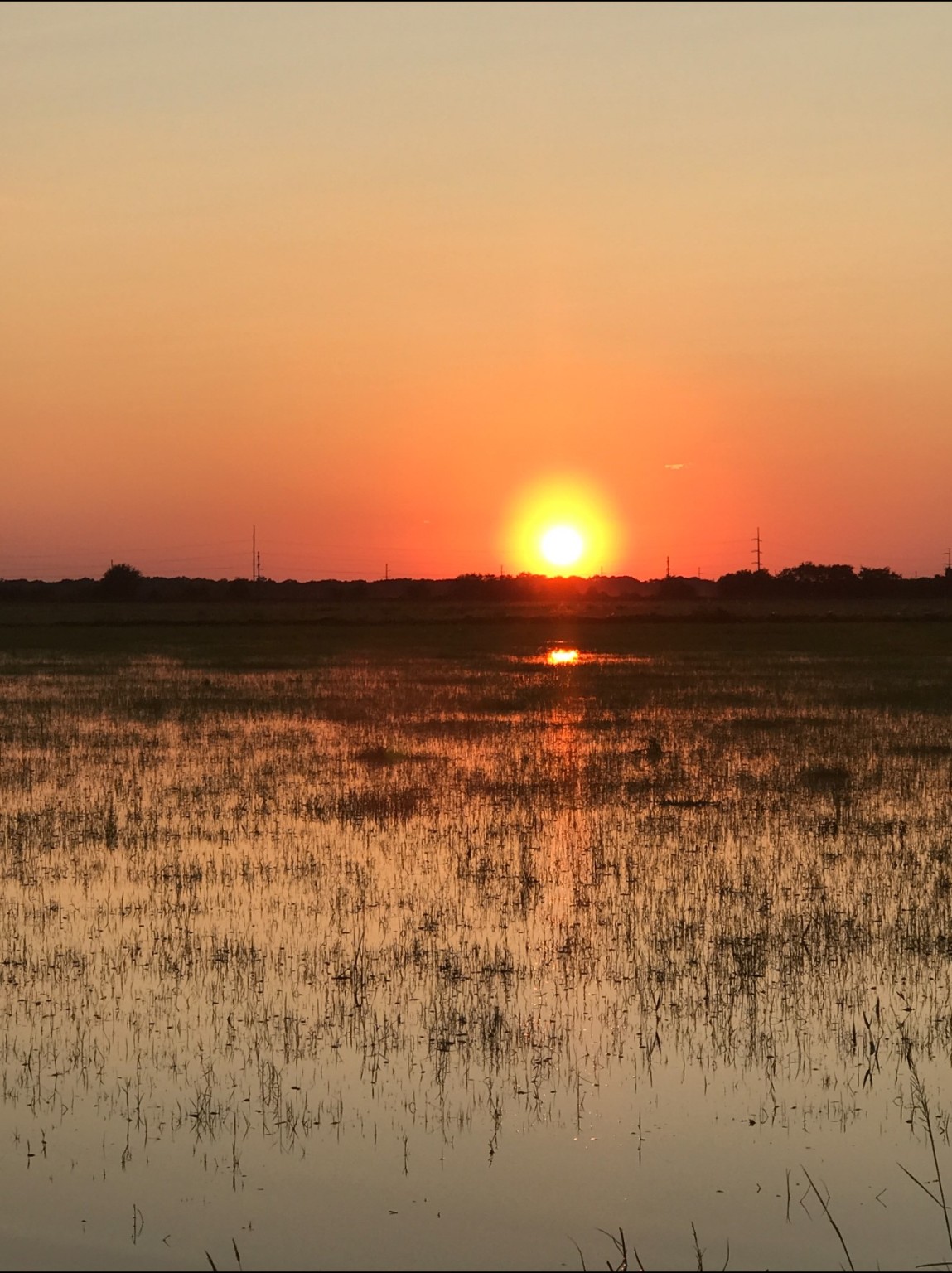 0 Prairie Switch Road Northeast El Campo, TX 77437 - Photo 6 of 6 a view of lake and mountain