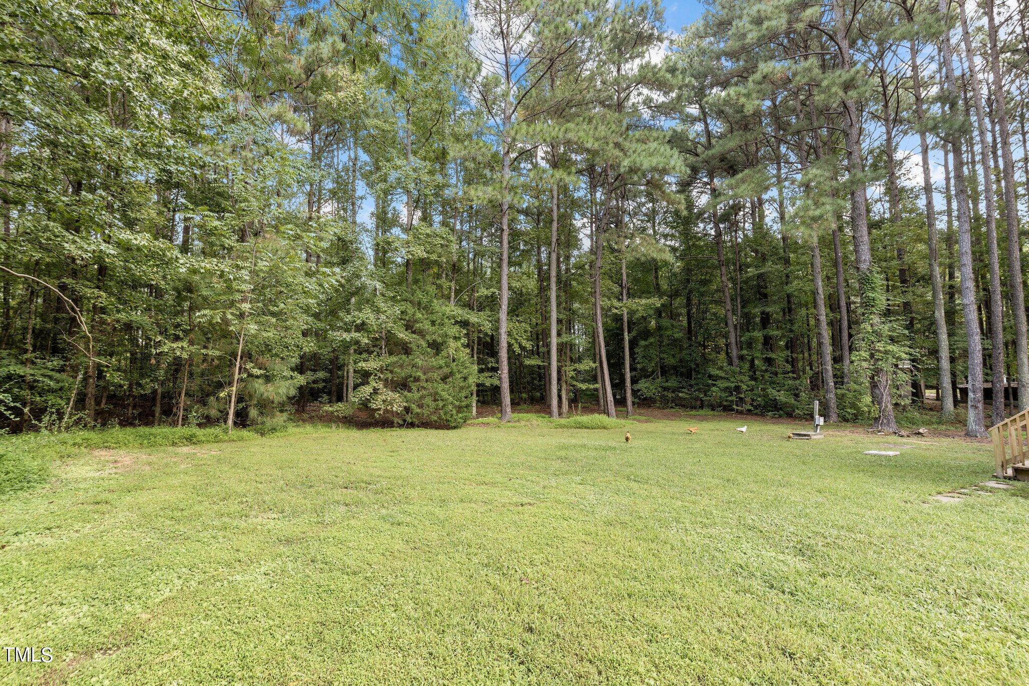 4141 Salem Road Oxford, NC 27565 - Photo 18 of 27 23-web-or-mls-8Y3A1936