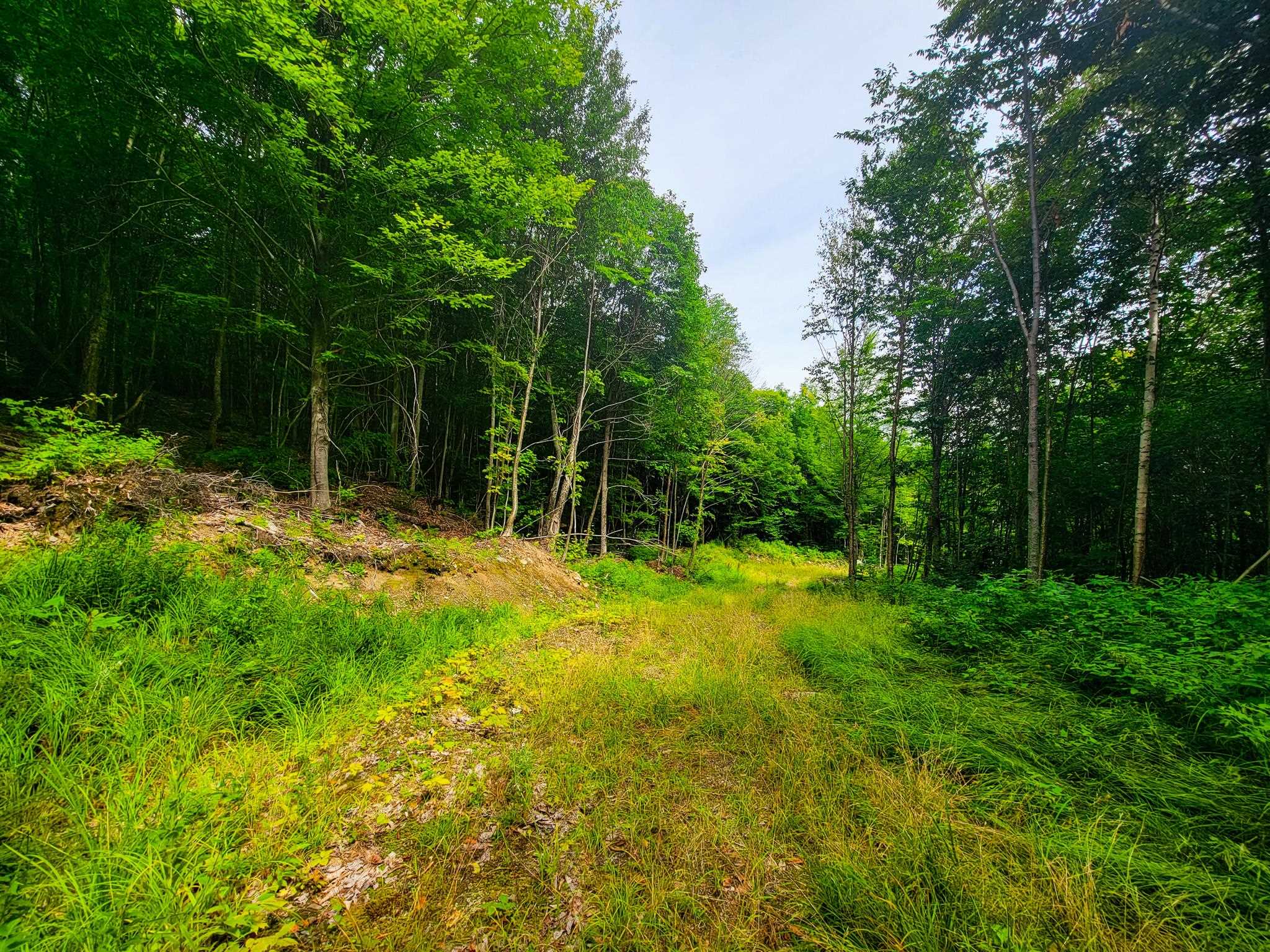 4166 Mines Road Lowell, VT 05847 - Photo 19 of 58