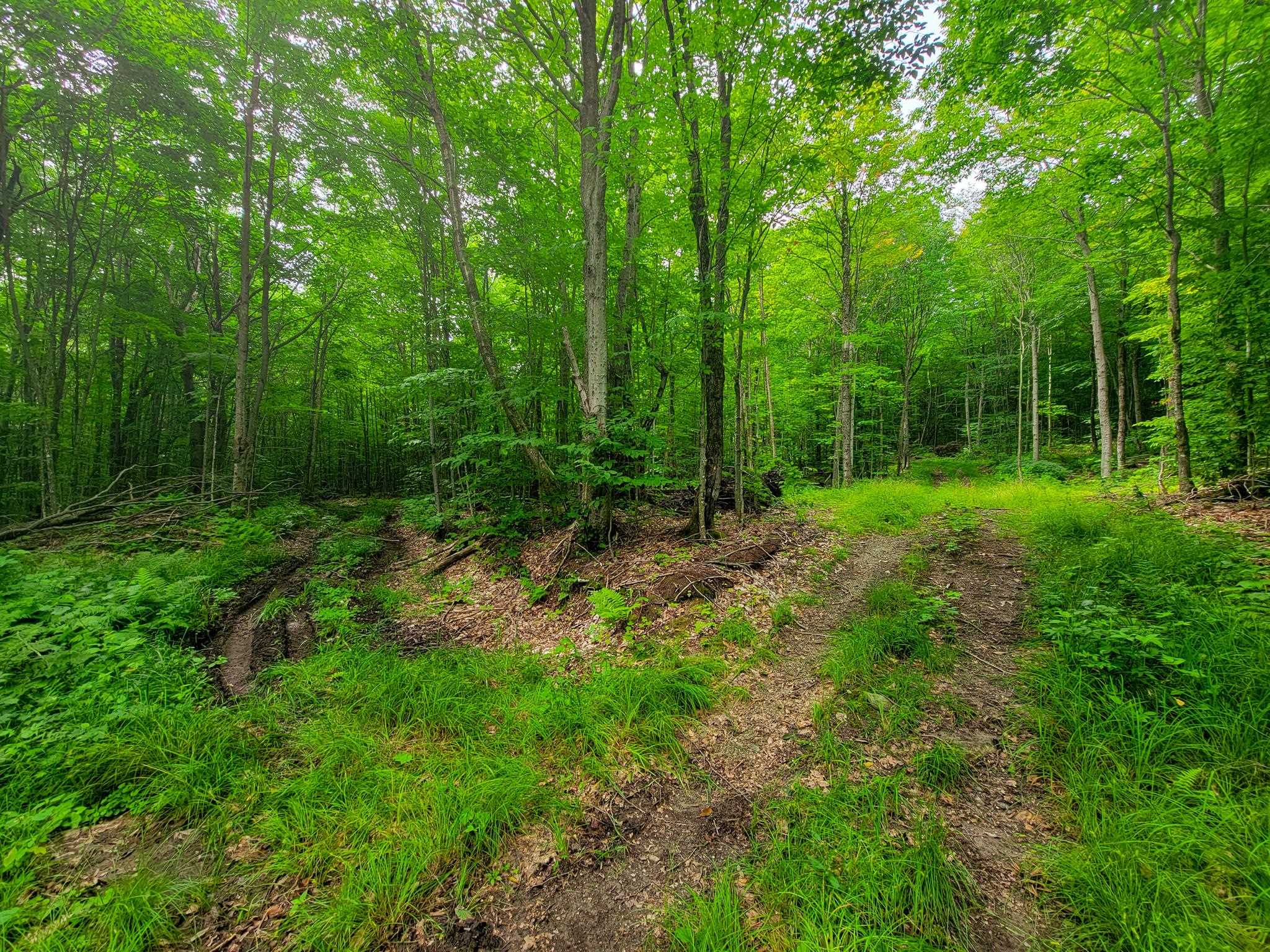 4166 Mines Road Lowell, VT 05847 - Photo 20 of 58