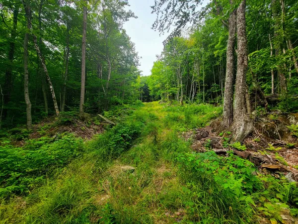 $300,000 | 4166 Mines Road, Lowell, VT 05847