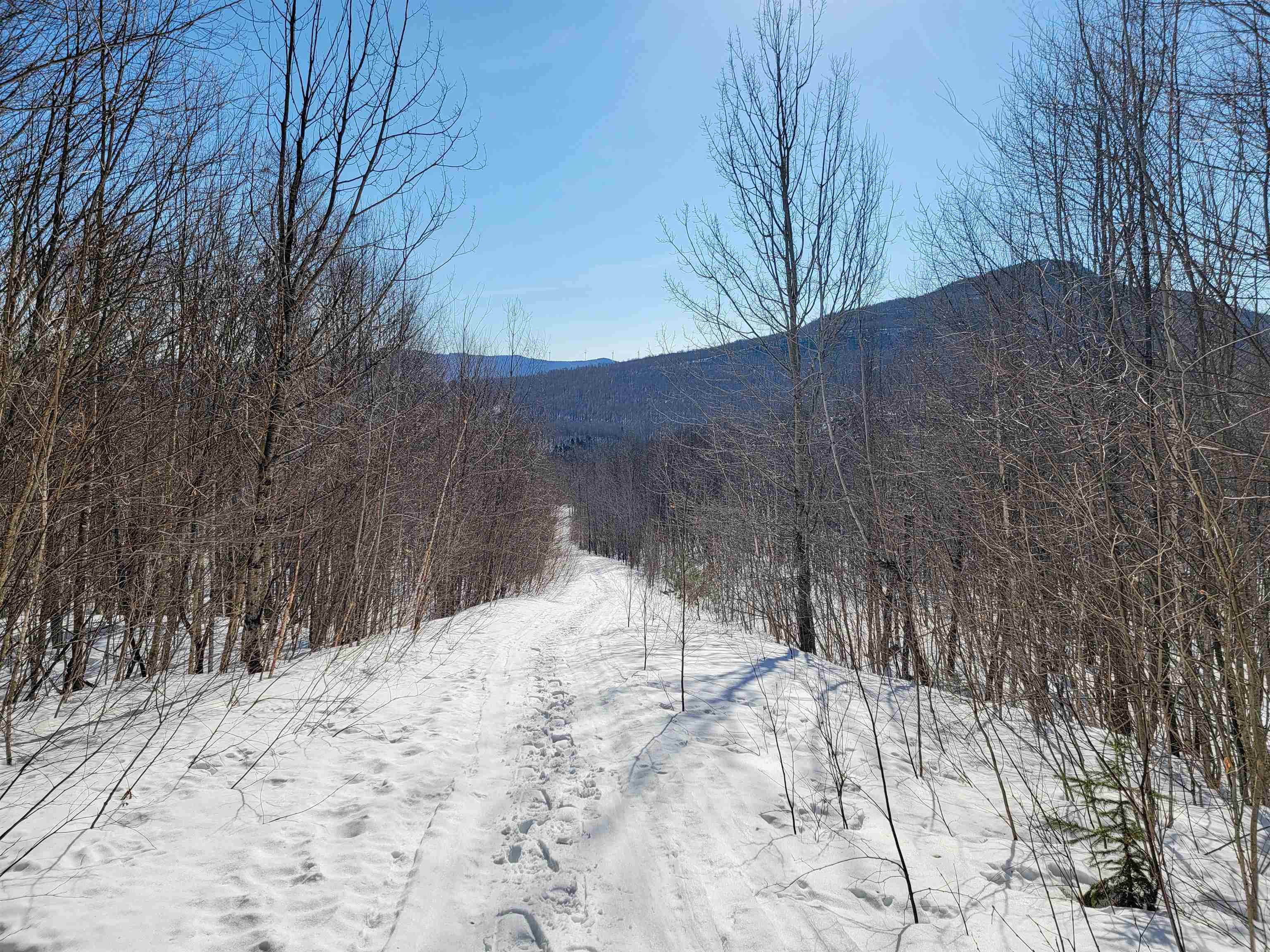 4166 Mines Road Lowell, VT 05847 - Photo 2 of 57