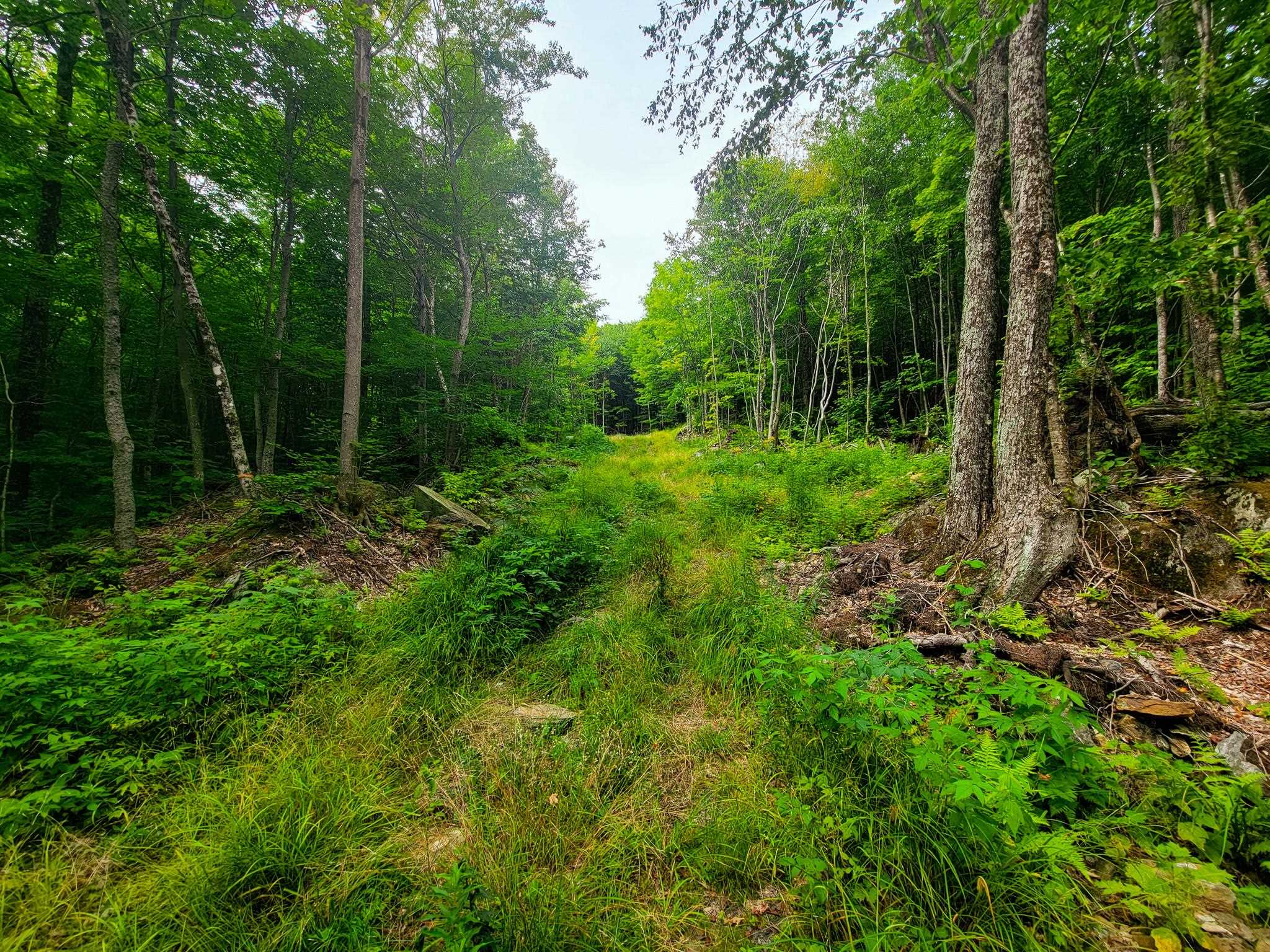 4166 Mines Road Lowell, VT 05847 - Photo 21 of 58