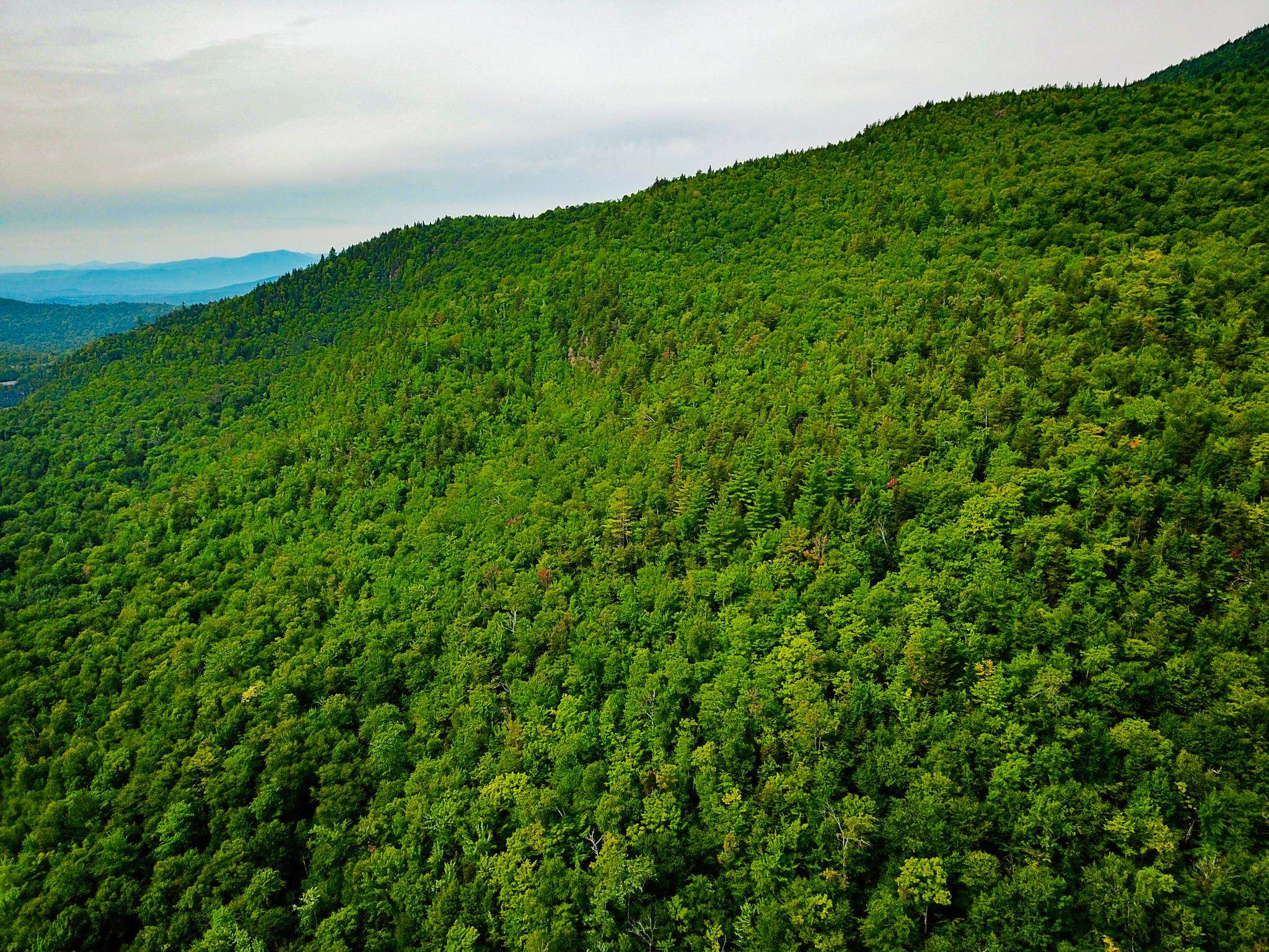4166 Mines Road Lowell, VT 05847 - Photo 25 of 58