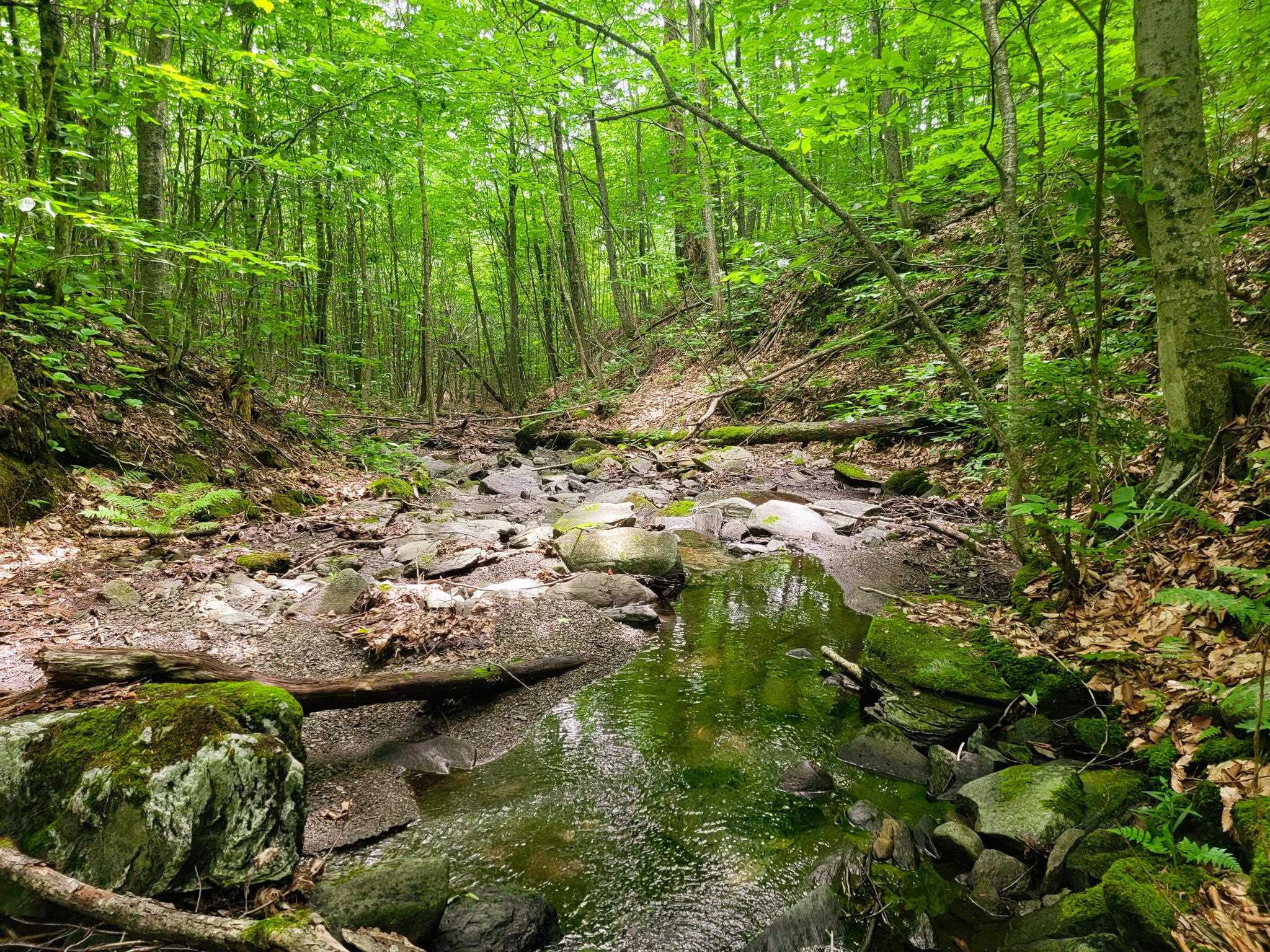4166 Mines Road Lowell, VT 05847 - Photo 28 of 58