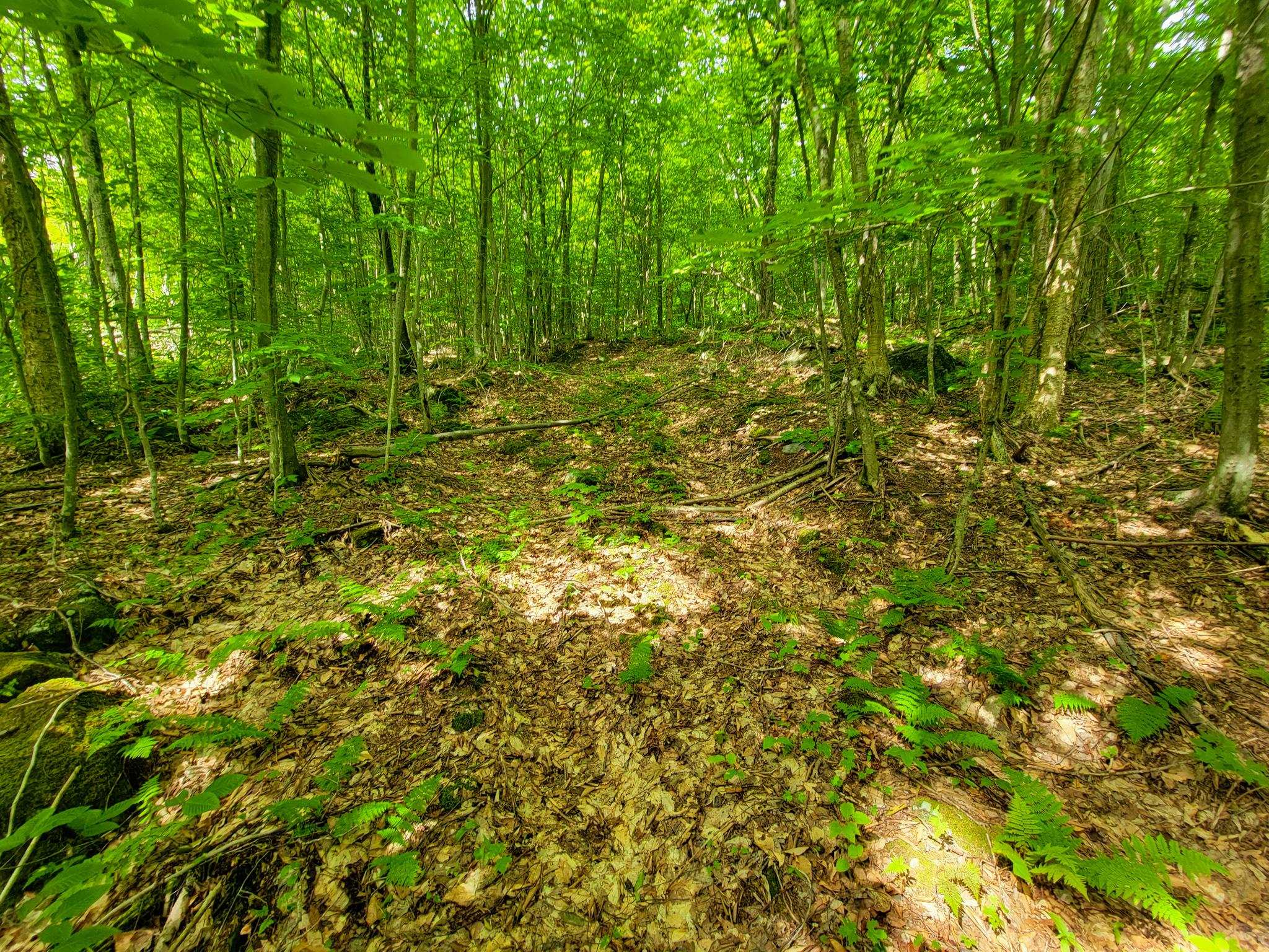 4166 Mines Road Lowell, VT 05847 - Photo 29 of 58