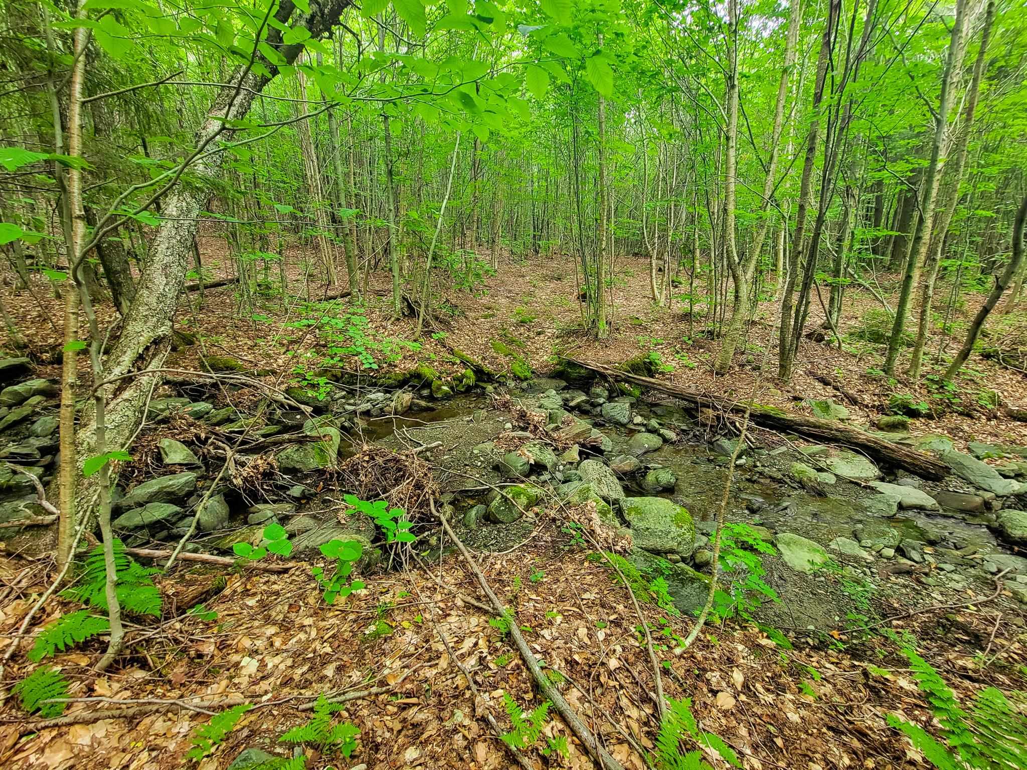 4166 Mines Road Lowell, VT 05847 - Photo 30 of 58