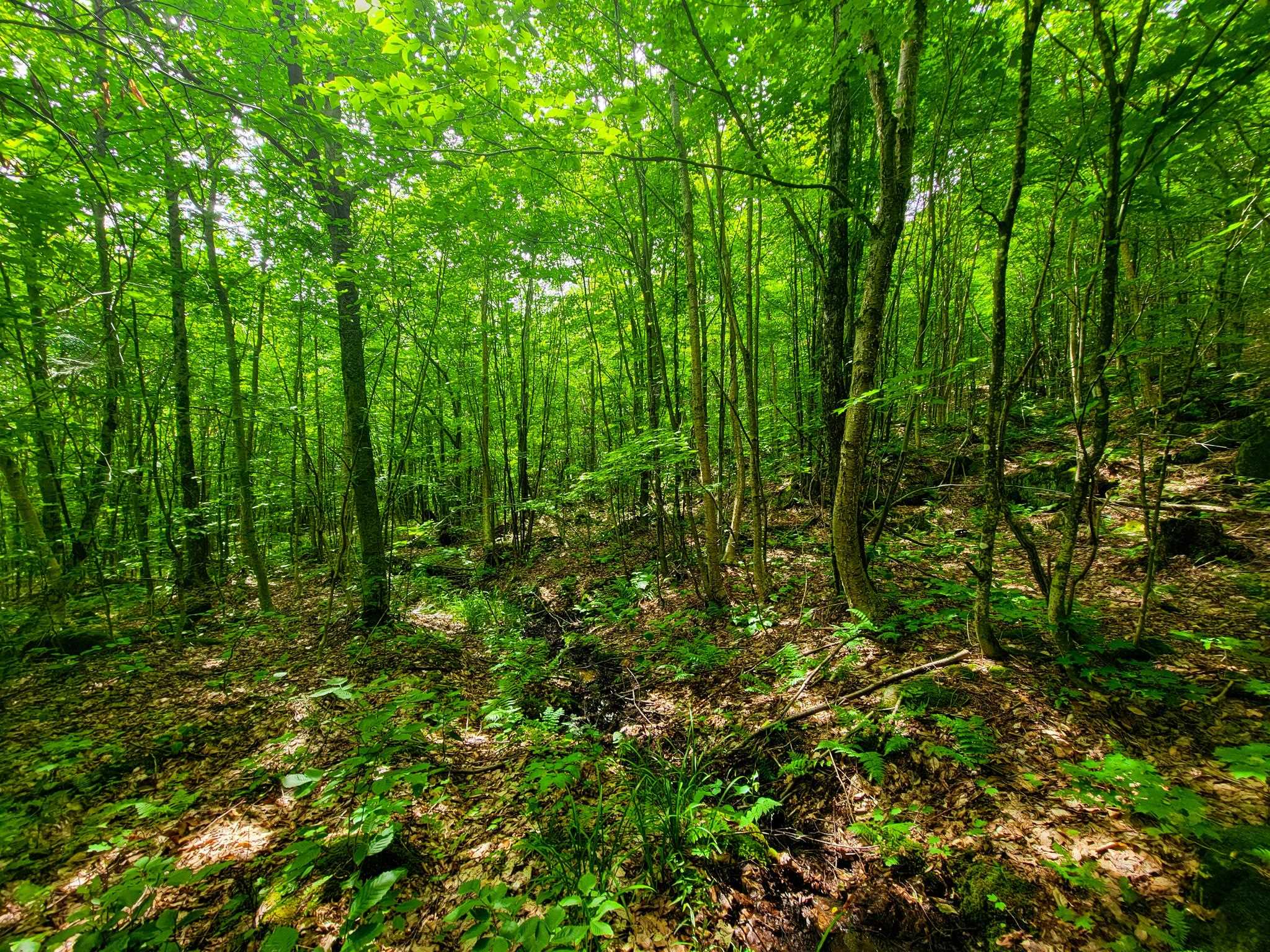 4166 Mines Road Lowell, VT 05847 - Photo 32 of 58