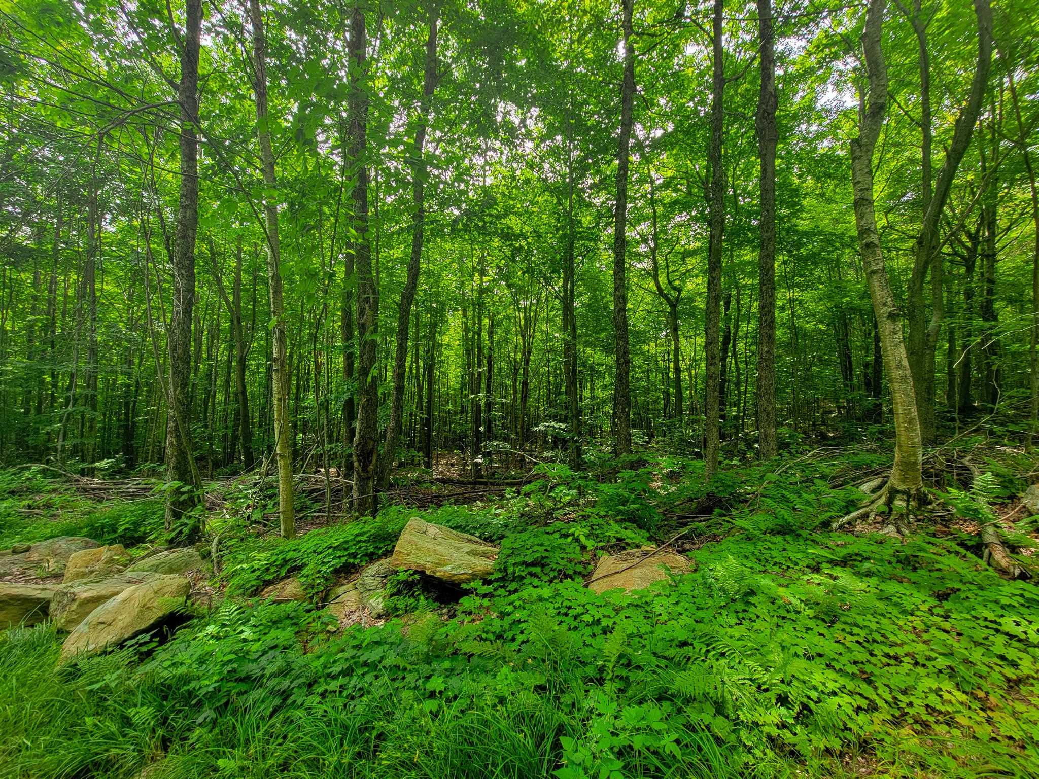 4166 Mines Road Lowell, VT 05847 - Photo 33 of 58
