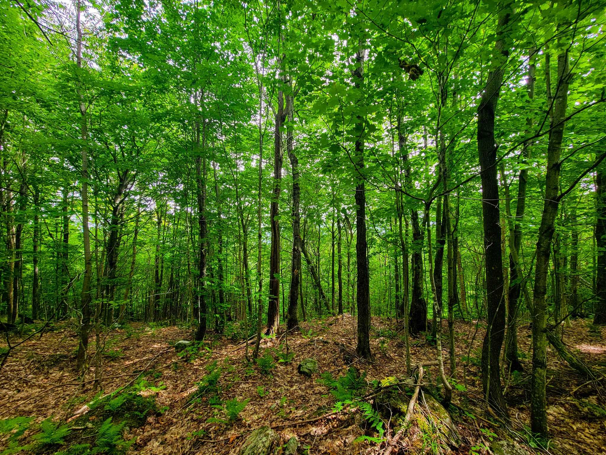 4166 Mines Road Lowell, VT 05847 - Photo 34 of 58