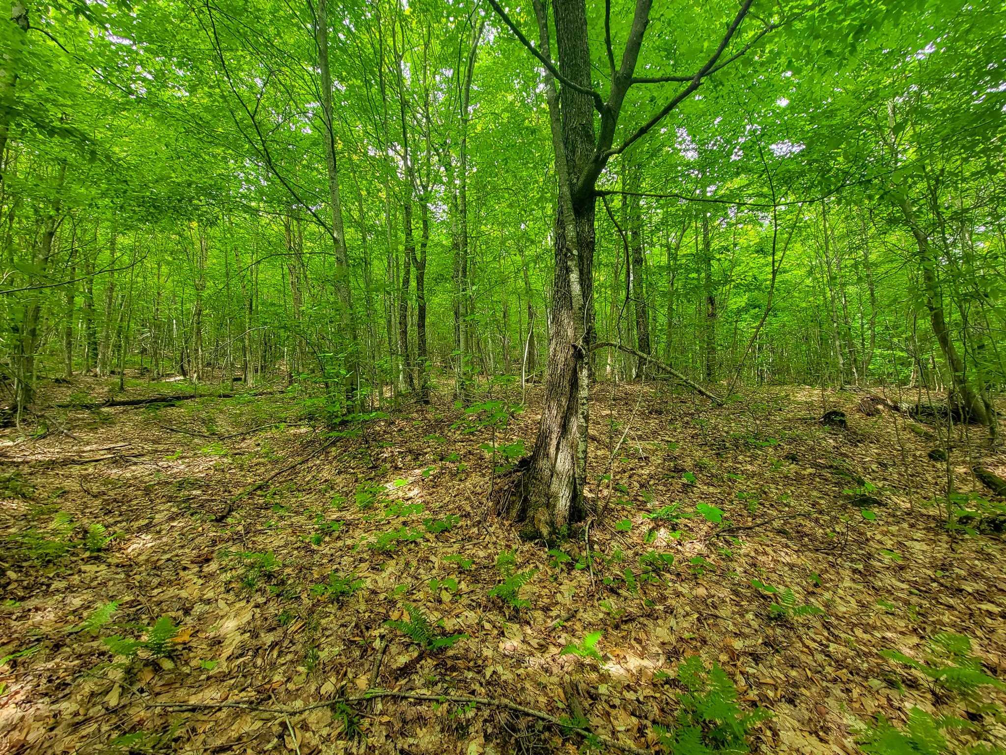 4166 Mines Road Lowell, VT 05847 - Photo 35 of 58