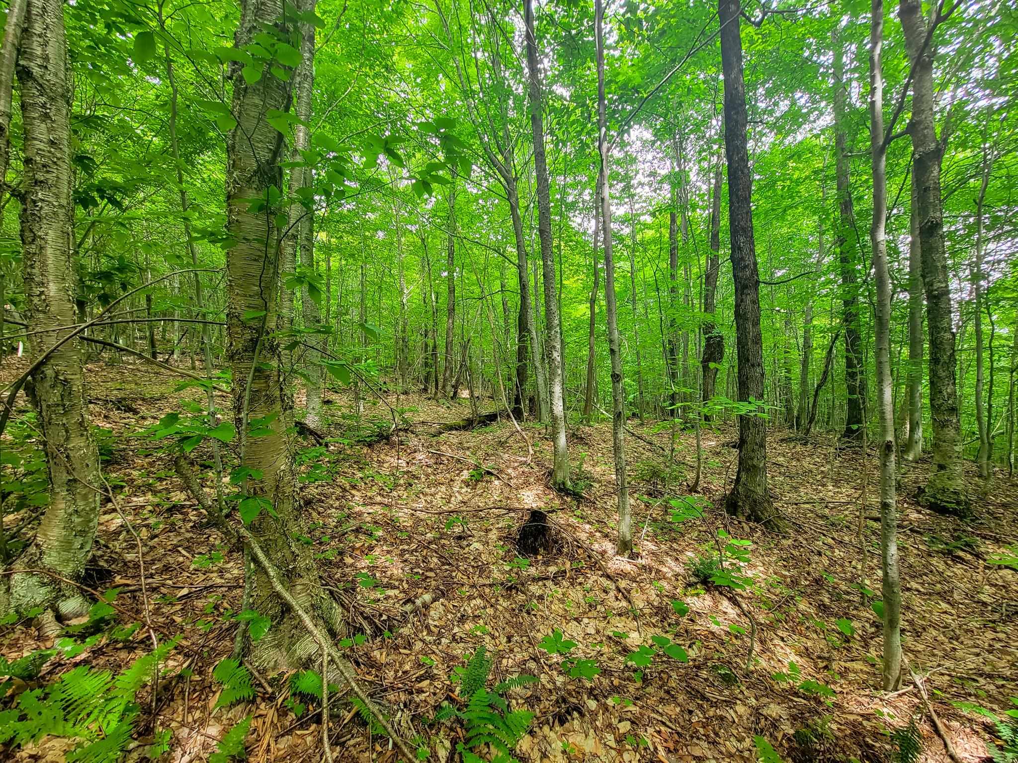 4166 Mines Road Lowell, VT 05847 - Photo 36 of 58