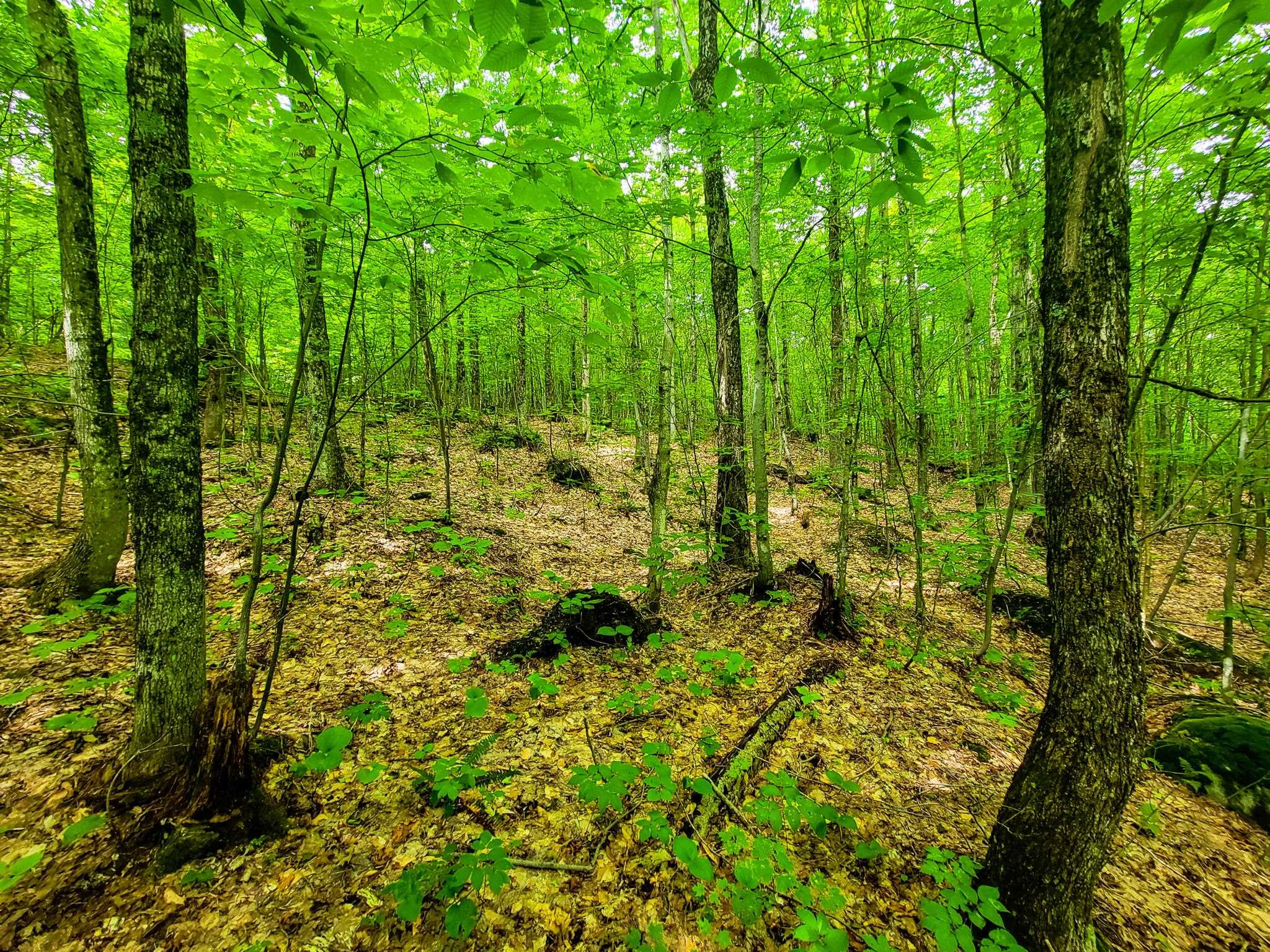 4166 Mines Road Lowell, VT 05847 - Photo 37 of 58
