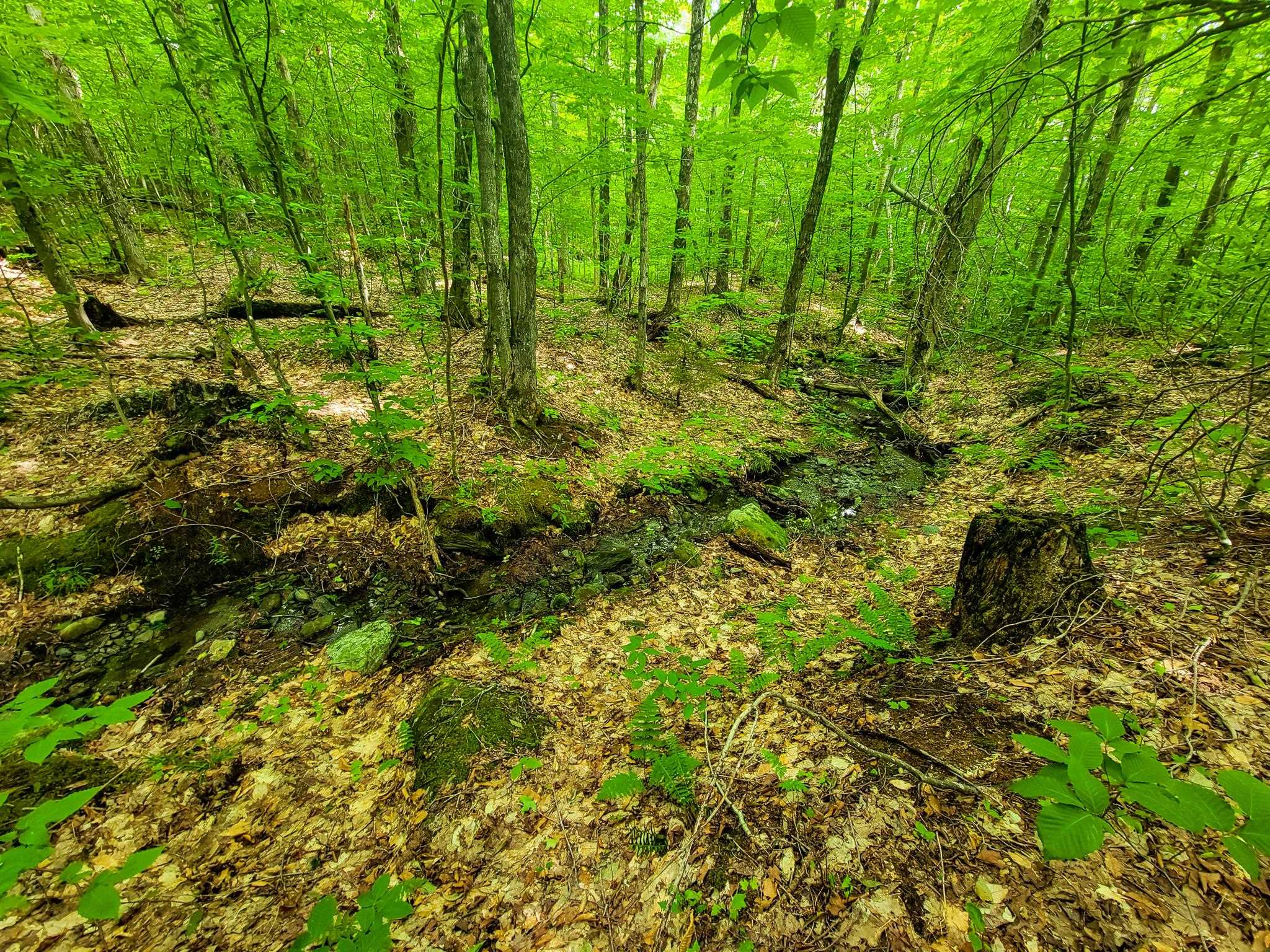 4166 Mines Road Lowell, VT 05847 - Photo 38 of 58