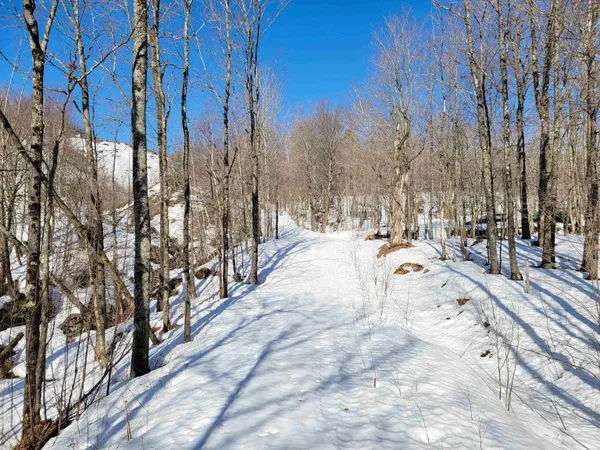 $300,000 | 4166 Mines Road, Lowell, VT 05847