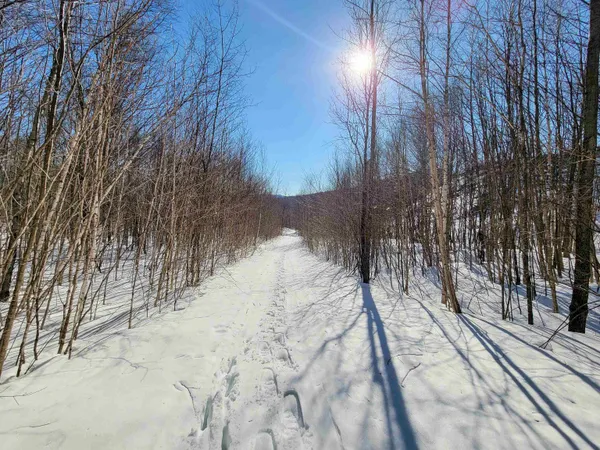 $300,000 | 4166 Mines Road, Lowell, VT 05847