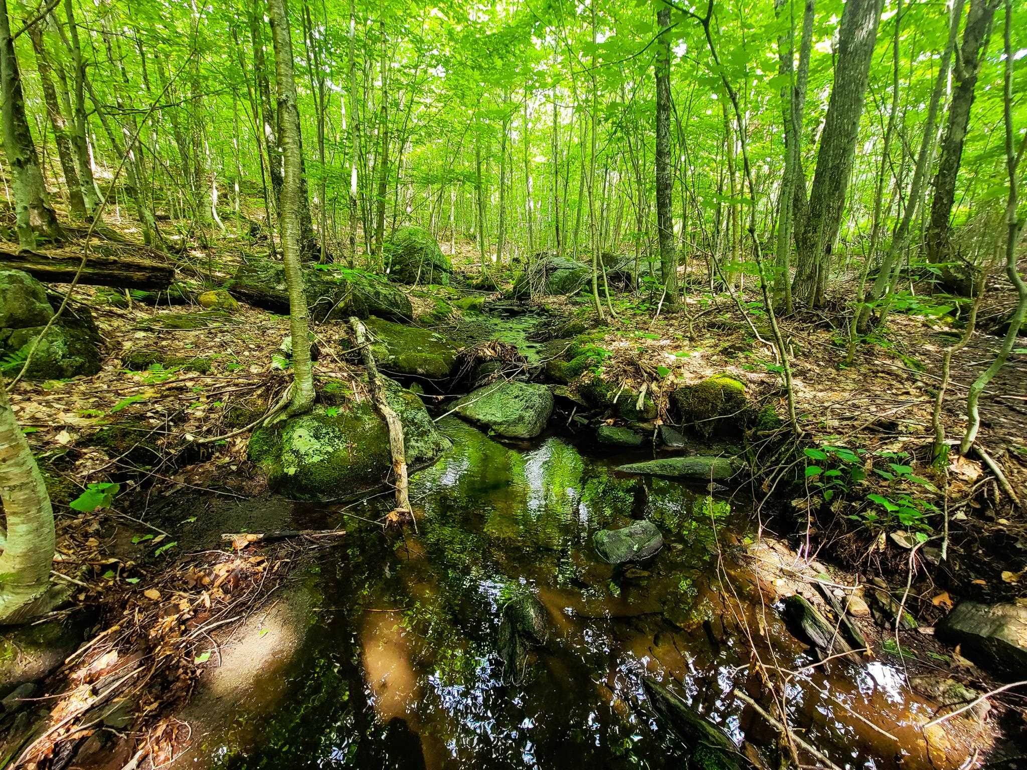 4166 Mines Road Lowell, VT 05847 - Photo 7 of 58