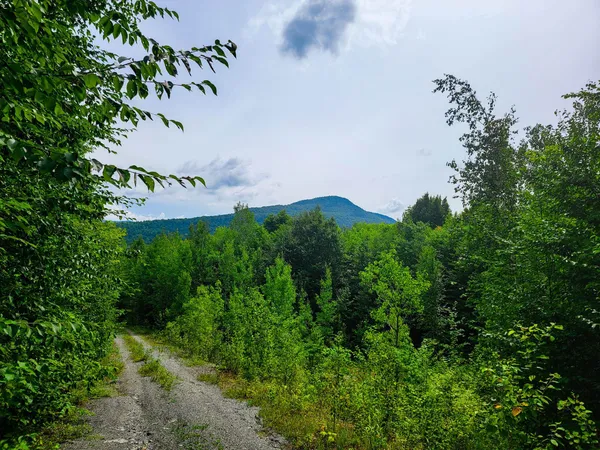 $300,000 | 4166 Mines Road, Lowell, VT 05847