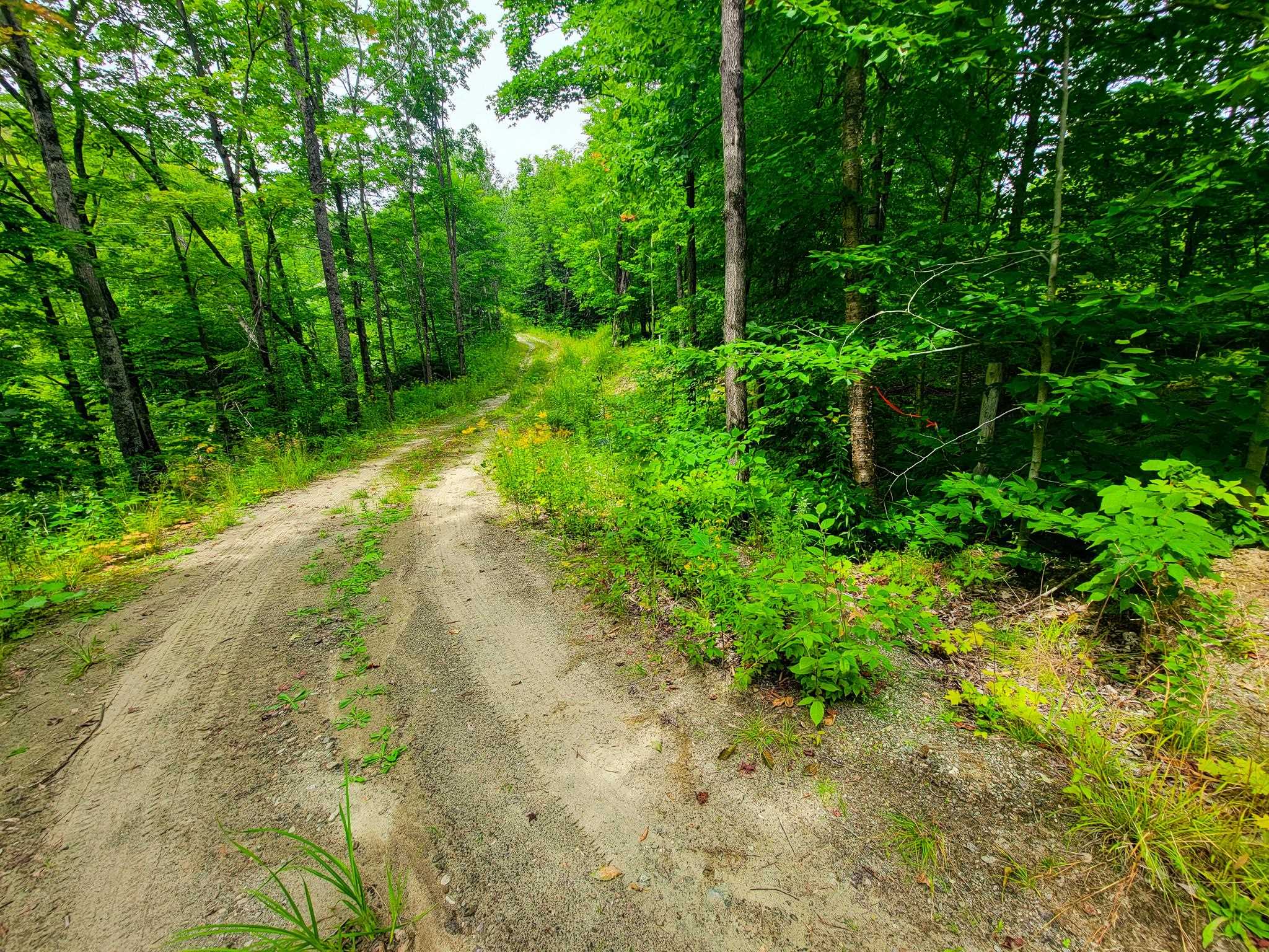 4166 Mines Road Lowell, VT 05847 - Photo 10 of 58