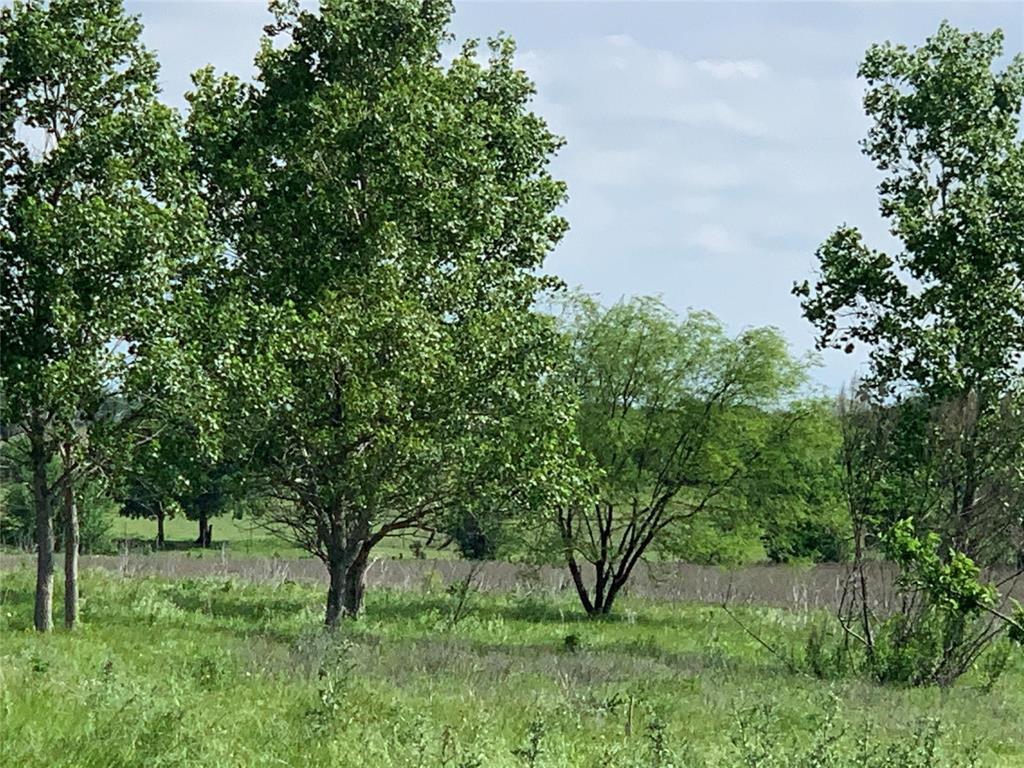 4748 County Road 1010 Joshua, TX 76058 - Photo 9 of 13