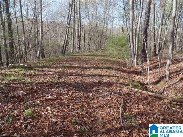 Azalea Street, Unit 2 51 Heflin, AL 36264 - Photo 11 of 14